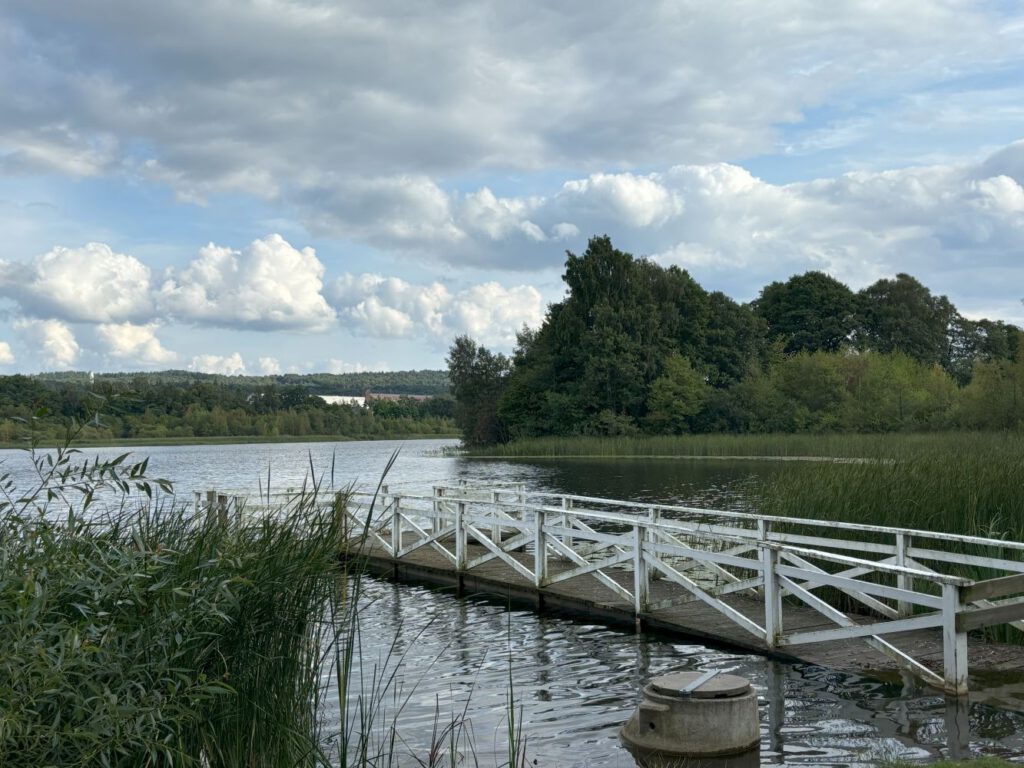 Steg im See.