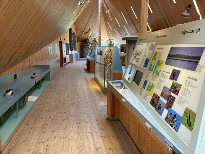Ausstellungselemente.