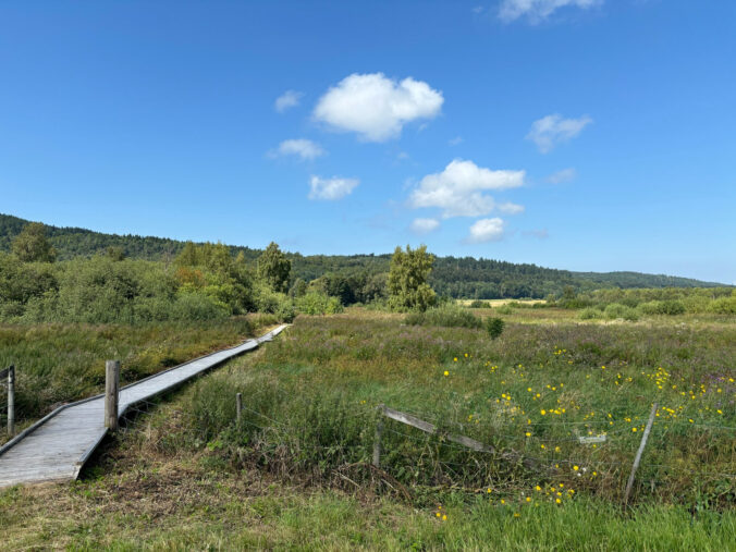 Holzsteg über das Moor.