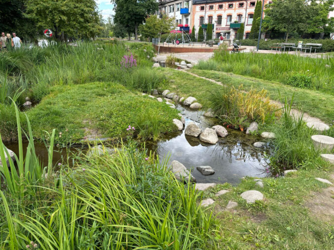 Kleiner Bach in einem Park.