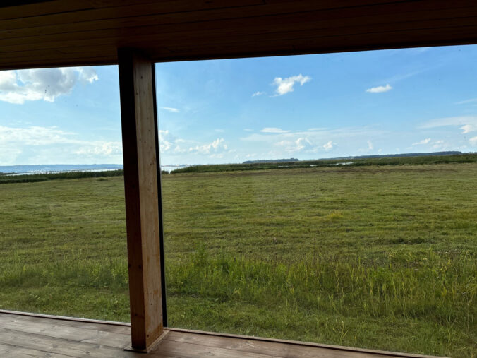 Blick aus dem Museum aufs Schilf.