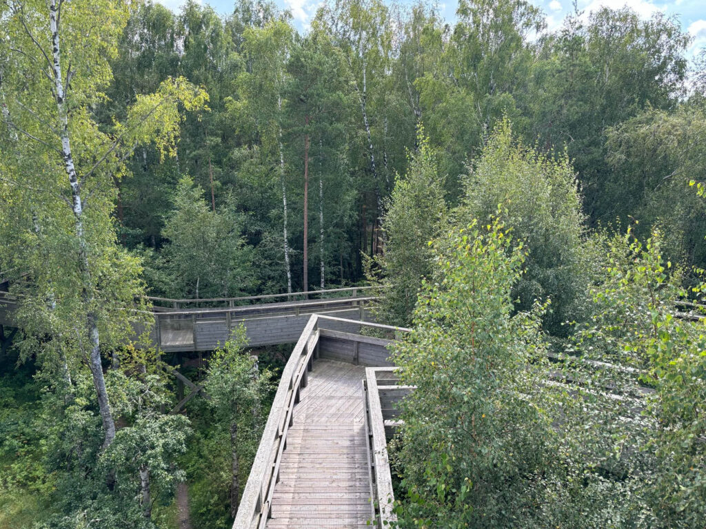 Holzhochpfade.