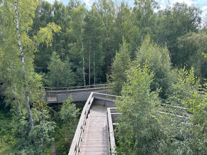 Holzhochpfade.